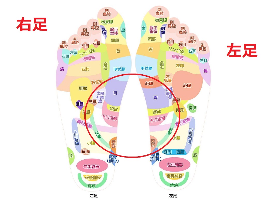 【動画あり】土踏まずの足つぼが胃腸を救う!つぼ位置とやり方を解説