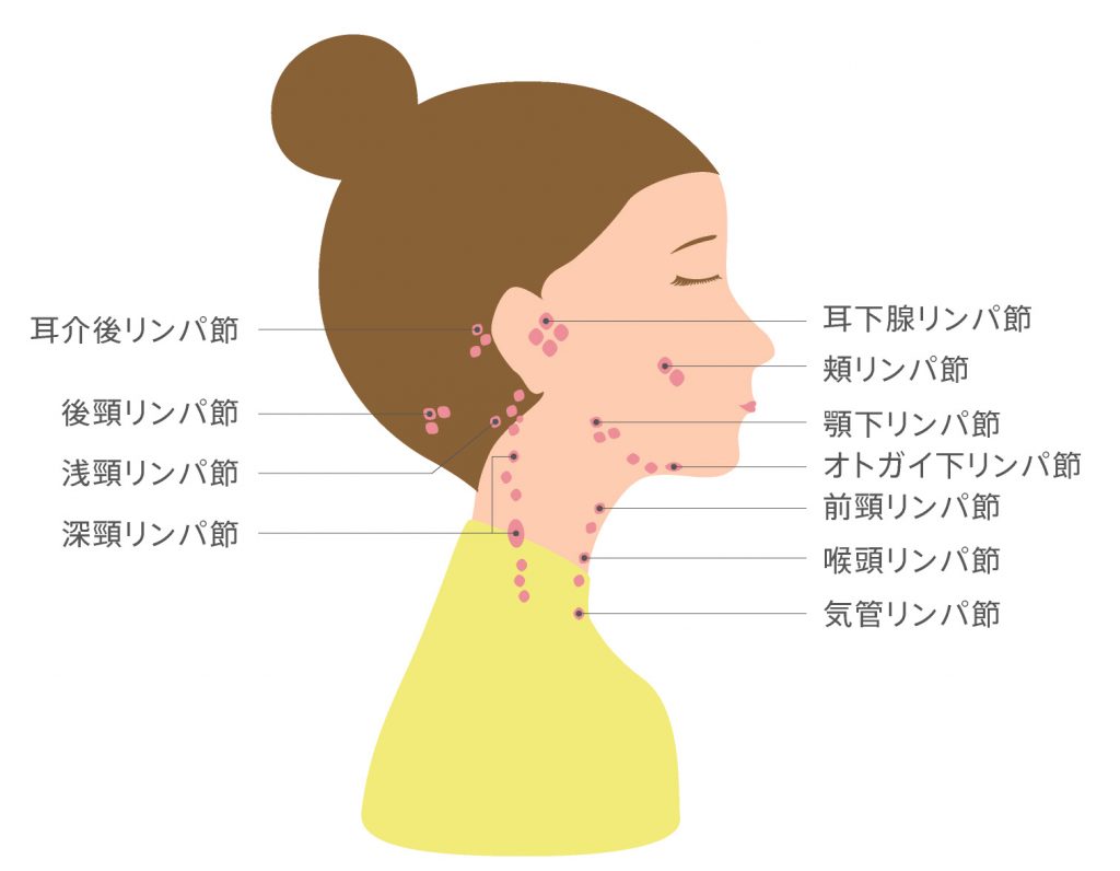 首のリンパマッサージで首こり・肩こりを改善！効果的な方法を解説