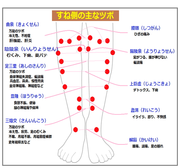 足お灸ツボ | せんねん灸 ツボ 一覧 : 膝の痛みに効くツボ – TKRA